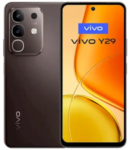 Vivo Y29